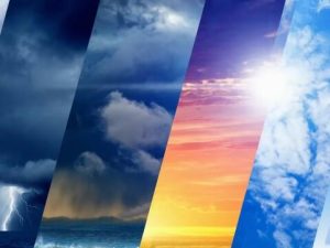 image-hava-1