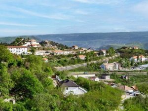 image-lacin-yeni-2024-1