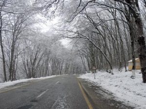 image-qarli-yol1
