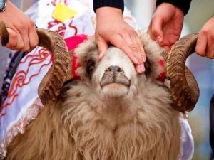 image-qurbanbayrami