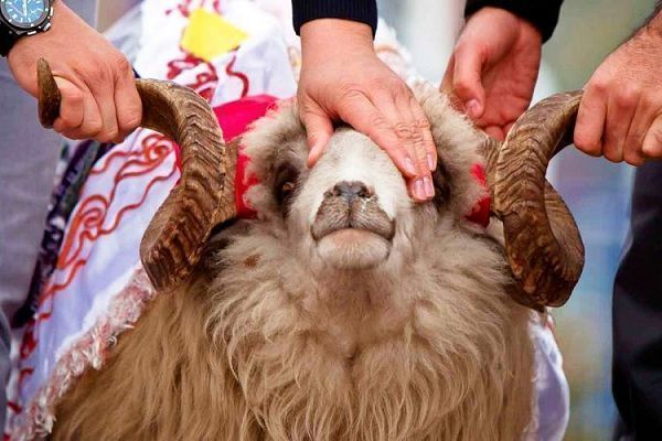 image-qurbanbayrami