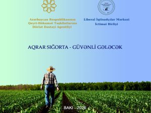 image-3d8038eb-27ad-4ddb-8553-a39380419abf