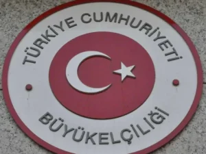 image-bwexat8oyhix19pxdnskmqm9zftt6lljro38yozo_1200-768x403