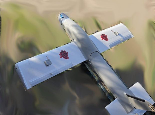 image-5924871582444621514