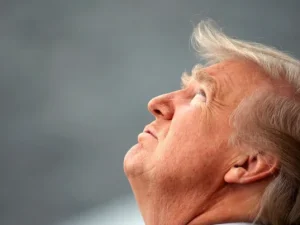 image-trump_up-768x403