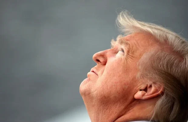image-trump_up-768x403