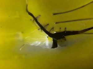 image-untitled-1