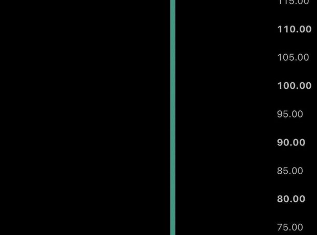 image-5780384428726096961-1