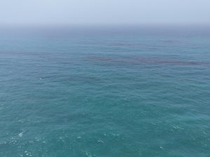 image-6039877410628505670