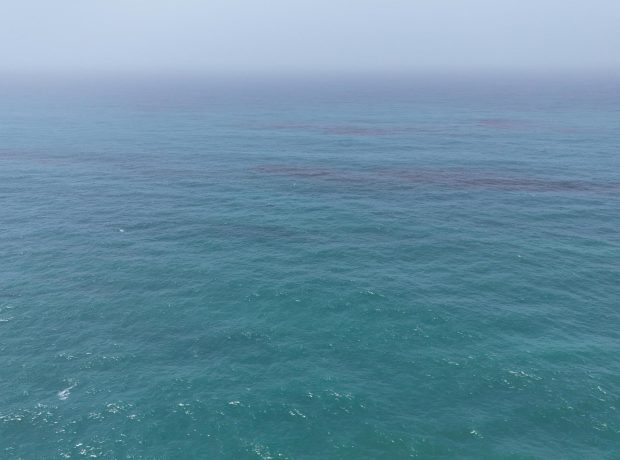 image-6039877410628505670