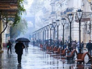 image-baki_yagis_2025_dir