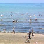 image-cimerlik-reyd-1