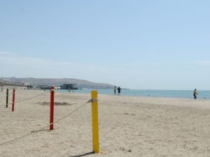 image-cimerlik19-768x403-1