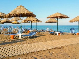 image-cimerlik_0256