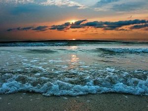 image-deniz_kirpisi-700x403