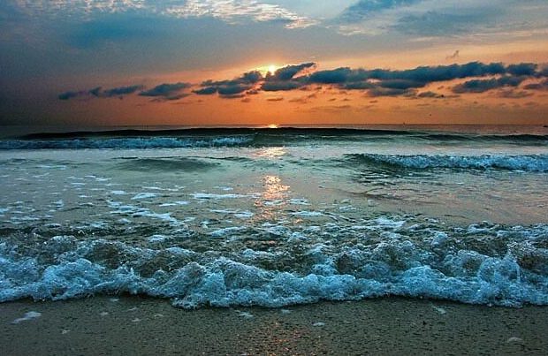 image-deniz_kirpisi-700x403