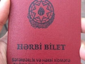image-herbibilet-700x403