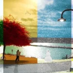 image-img_1973-768x403