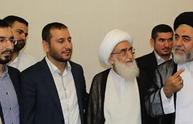 image-mslmn1