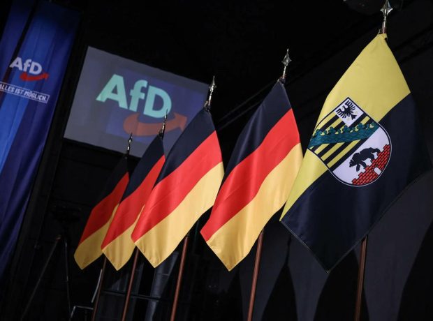 image-5843886928946728799