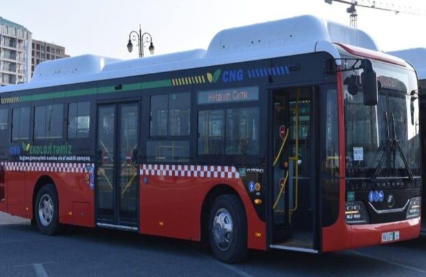 image-avtobus-11-768x403