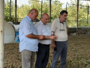 image-fndq-768x403