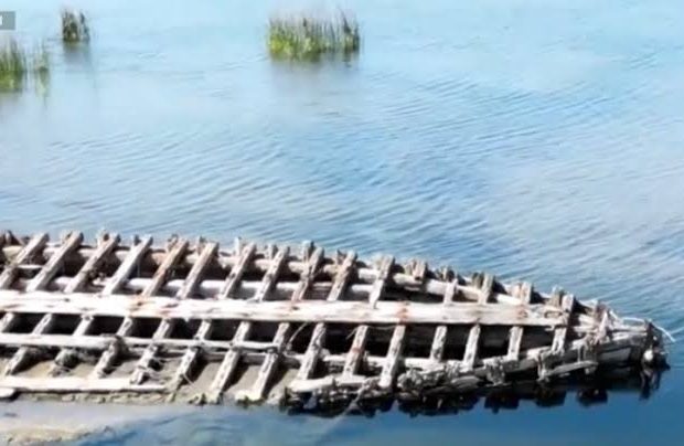 image-images-1-1