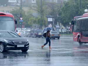 image-leysan_2025-768x403-1