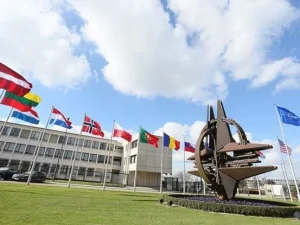 image-nato