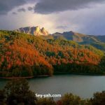 image-goygol-2