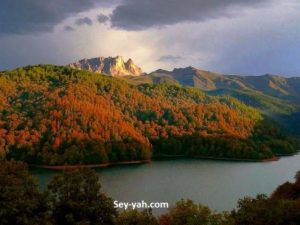 image-goygol-2