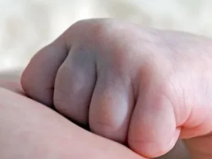 image-korpe-660x403