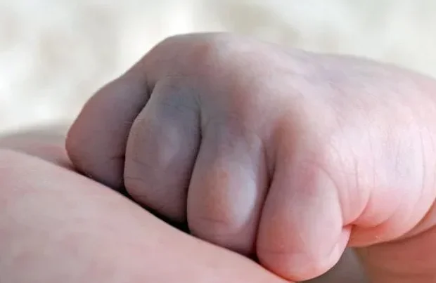 image-korpe-660x403