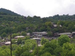 image-qafan-zeyve-693x403