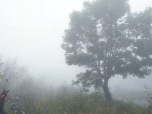 image-resize-17-1-750x403-1